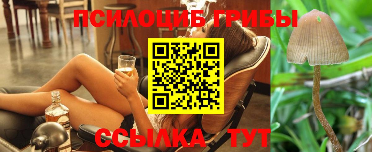 Коммунар  Псилоцибиновые грибы мицелий  Галлюциногенные грибы GOLDEN TEACHER  Вход с VPN 